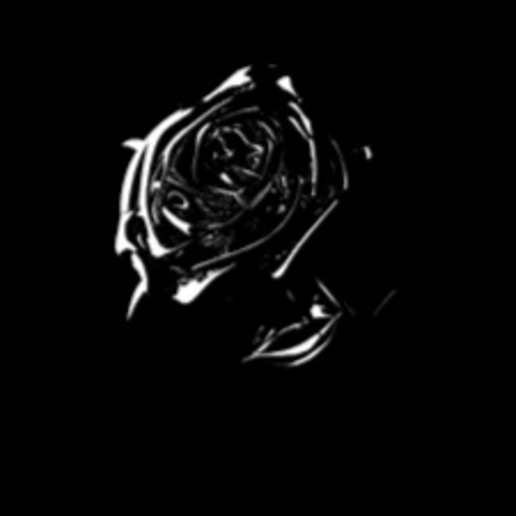 Meet your Posher, Herman - Picture 1 of 1